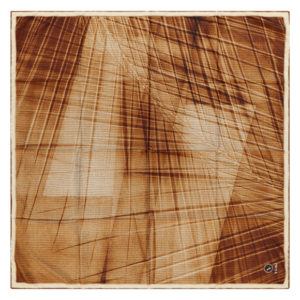 ⁦מטפחת משי דגם WOOD⁩ – תמונה ⁦4⁩
