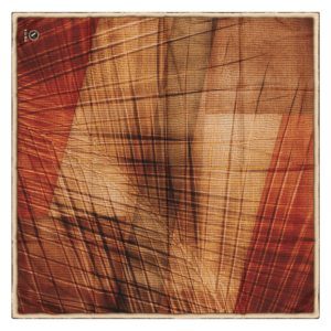 ⁦מטפחת משי דגם WOOD⁩ – תמונה ⁦5⁩