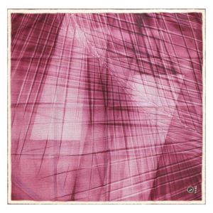 ⁦מטפחת משי דגם WOOD⁩ – תמונה ⁦6⁩